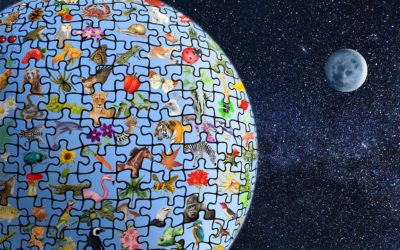 Enfin une mesure adéquate de la valeur de la biodiversité ?