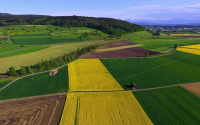 Human Rights Impact Assessment of the planned EFTA-Mercosur trade agreement