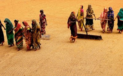 Gender provisions in trade agreements: opportunities for the few or protection for the many?
