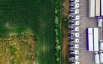 How (not) to get the best out of a trade Sustainability Impact Assessment